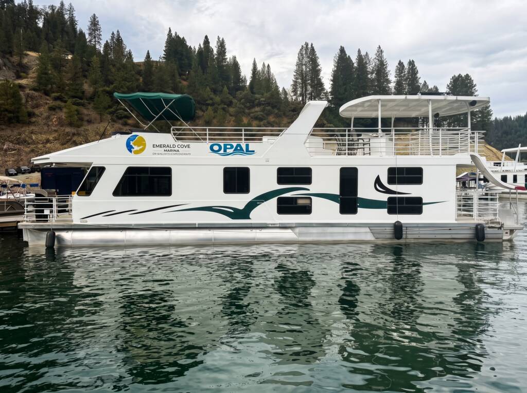 Opal Fish and sty on docks